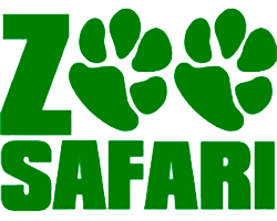 Zoo Safari