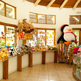Zoo Safari