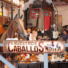 Nuestros Caballos