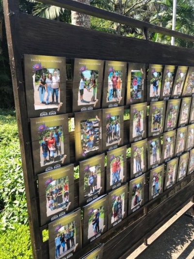 Jardim Botánico de São Paulo