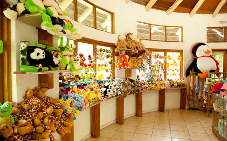 Zoo Safari
